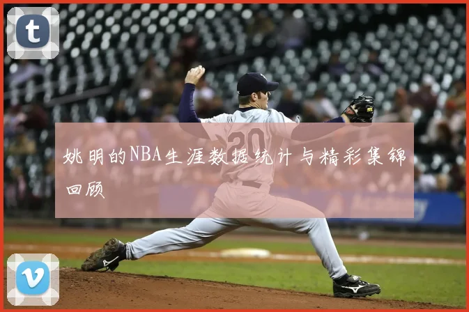 姚明的NBA生涯数据统计与精彩集锦回顾