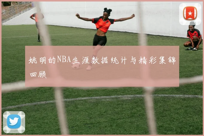 姚明的NBA生涯数据统计与精彩集锦回顾